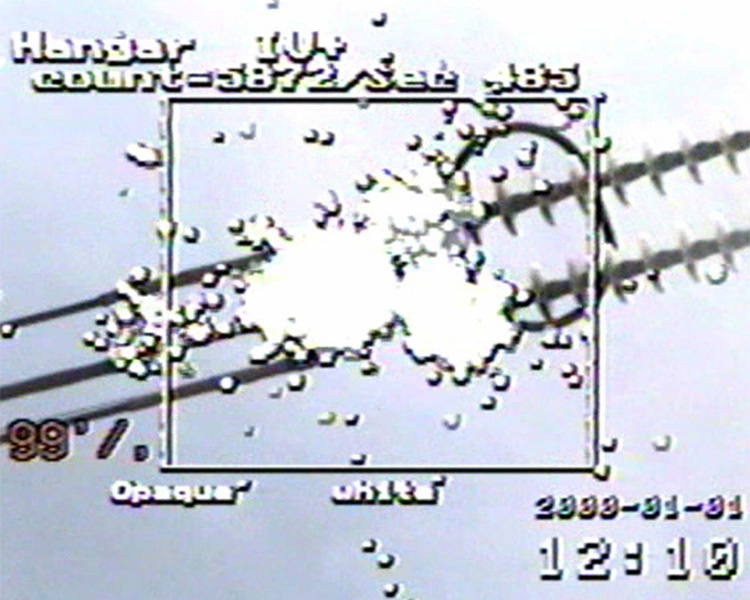 Ejemplo 6
