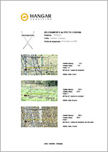 Informe 3