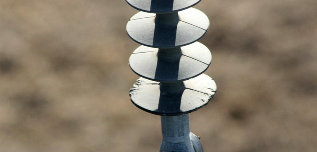 Aislador Orgánico Comido por Pájaros